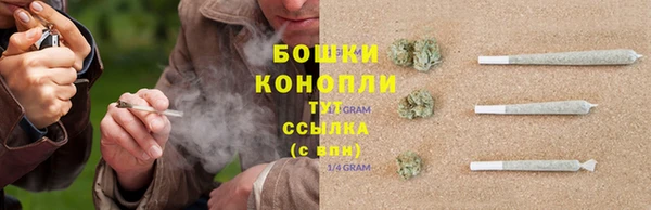 хмурый Верея