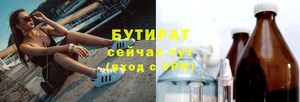 хмурый Верея