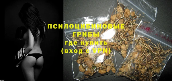 стаф Бугульма