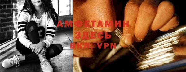 хмурый Верея