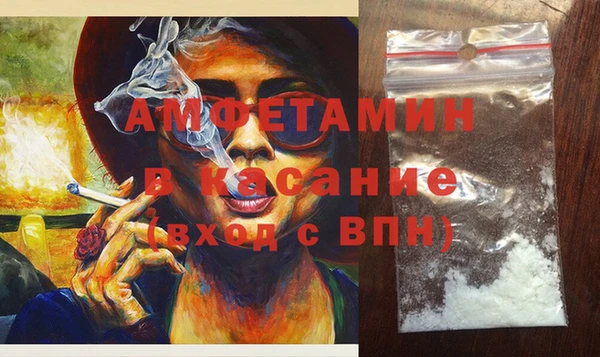 хмурый Верея