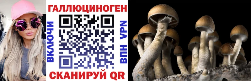 где продают наркотики Духовщина Псилоцибиновые грибы Psilocybe